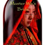 Historical Chinese Fiction Kindle Book by Dancaster Creative-0